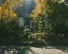 die Wilde Lusten 1984