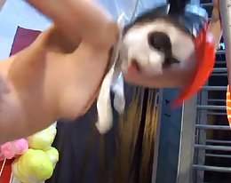 Topgirl - Wunder-Frau und Harley Quinn gefickt